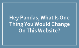 Hey Pandas, What Is One Thing You Would Change On This Website? (Closed)