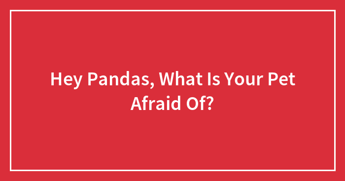 Hey Pandas, What Is Your Pet Afraid Of?