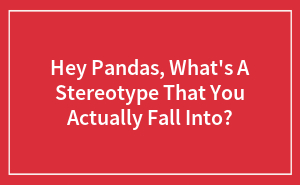 Hey Pandas, What's A Stereotype That You Actually Fall Into?