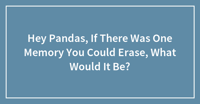 Hey Pandas, If There Was One Memory You Could Erase, What Would It Be? (Closed)