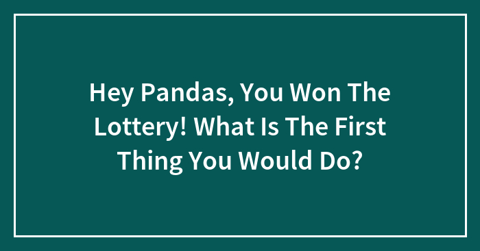Hey Pandas, You Won The Lottery! What Is The First Thing You Would Do? (Closed)