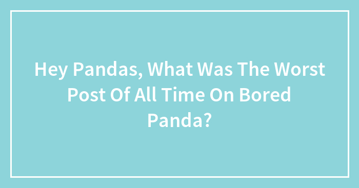 Hey Pandas, What Was The Worst Post Of All Time On Bored Panda?