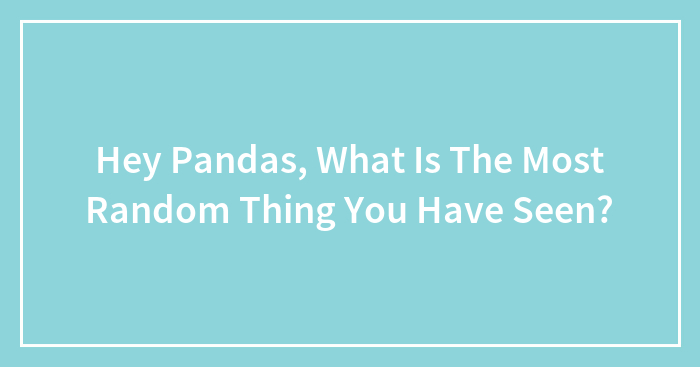 Hey Pandas, What Is The Most Random Thing You Have Seen?