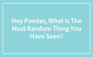 Hey Pandas, What Is The Most Random Thing You Have Seen?