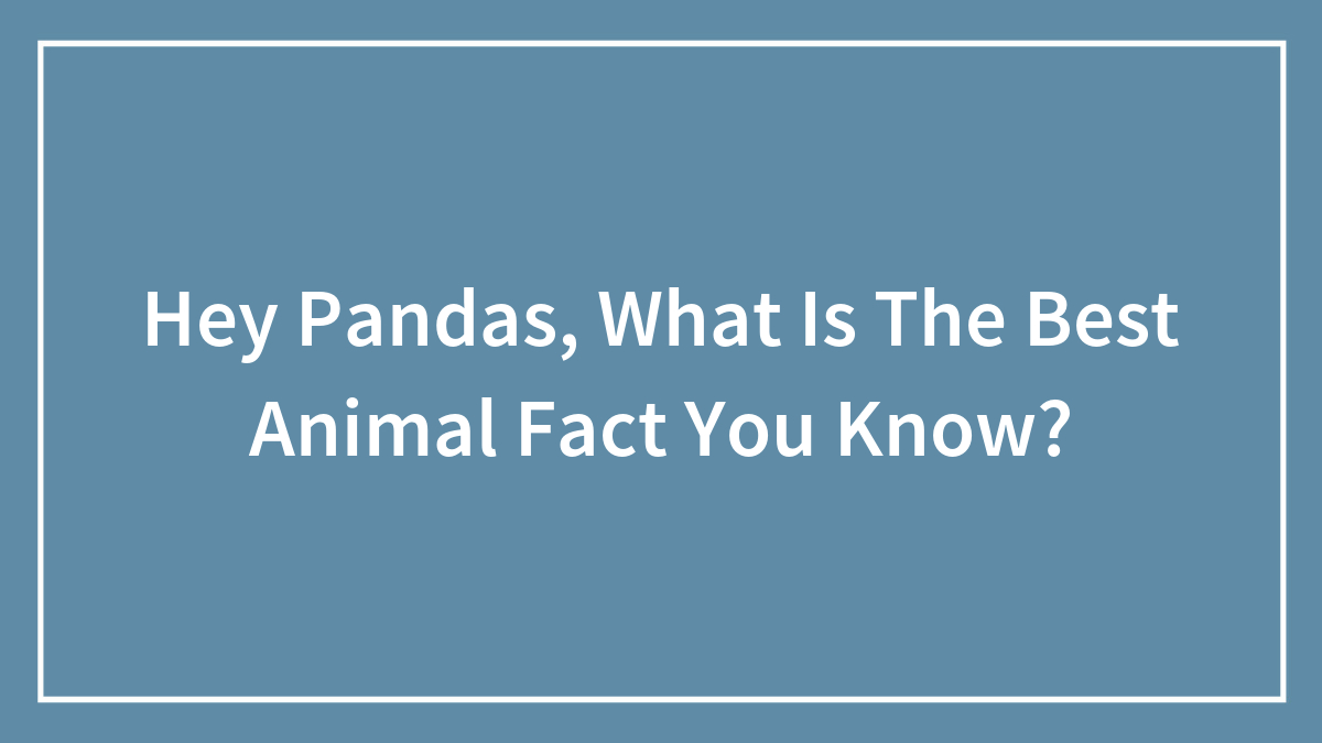 Hey Pandas, What Is The Best Animal Fact You Know? (Closed)