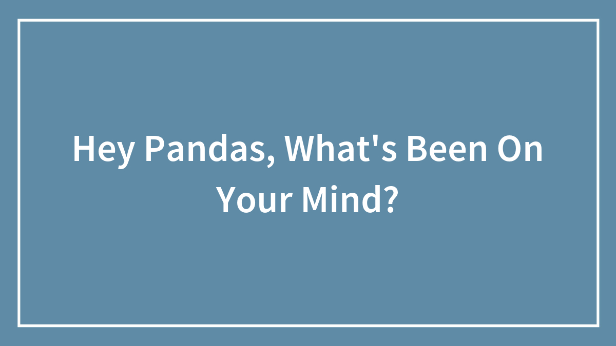 Hey Pandas, What’s Been On Your Mind? (Closed)