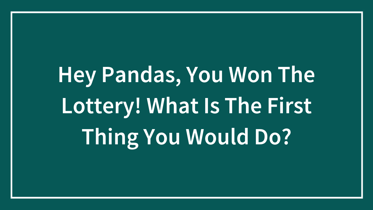 Hey Pandas, You Won The Lottery! What Is The First Thing You Would Do? (Closed)
