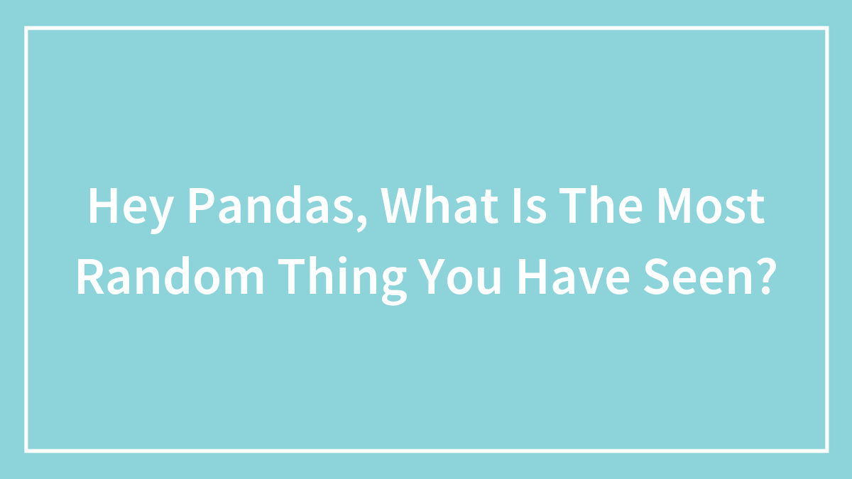 Hey Pandas, What Is The Most Random Thing You Have Seen? (Closed)