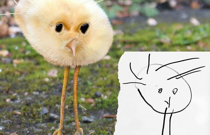 If Kids’ Drawings Were Real (31 Pics)