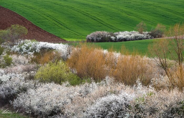 Walking On The Banat County Fields, Romania (6 Pics)