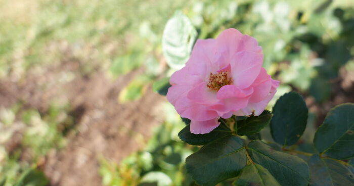 Captivating Photos I Took With My First Camera (28 Pics)