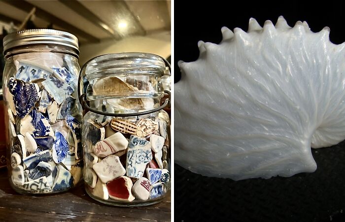 Hey Pandas, Share Something Cool That You’ve Found On A Beach (Closed)