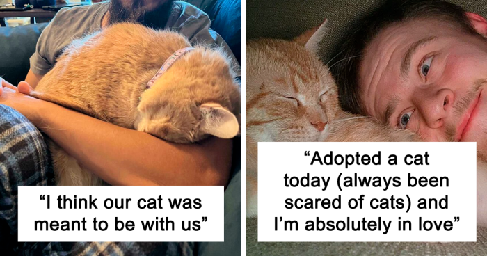 45 Wholesome Pics Of Rescue Pets Who Just Became Someone’s Family Members (April Edition)