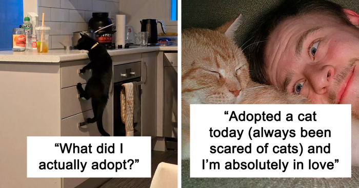 45 Heartwarming Pics From People Who Just Adopted Their New Best Friend For Life (April Edition)