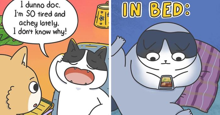 25 Funny And Wholesome Comics About The Secret Life Of Cats By Susie Yi (New Pics)