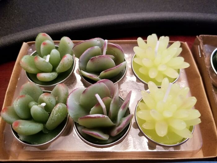 Illuminate Your Space With Charm Using The Decorative Succulent Cactus Tealight Candles Kit