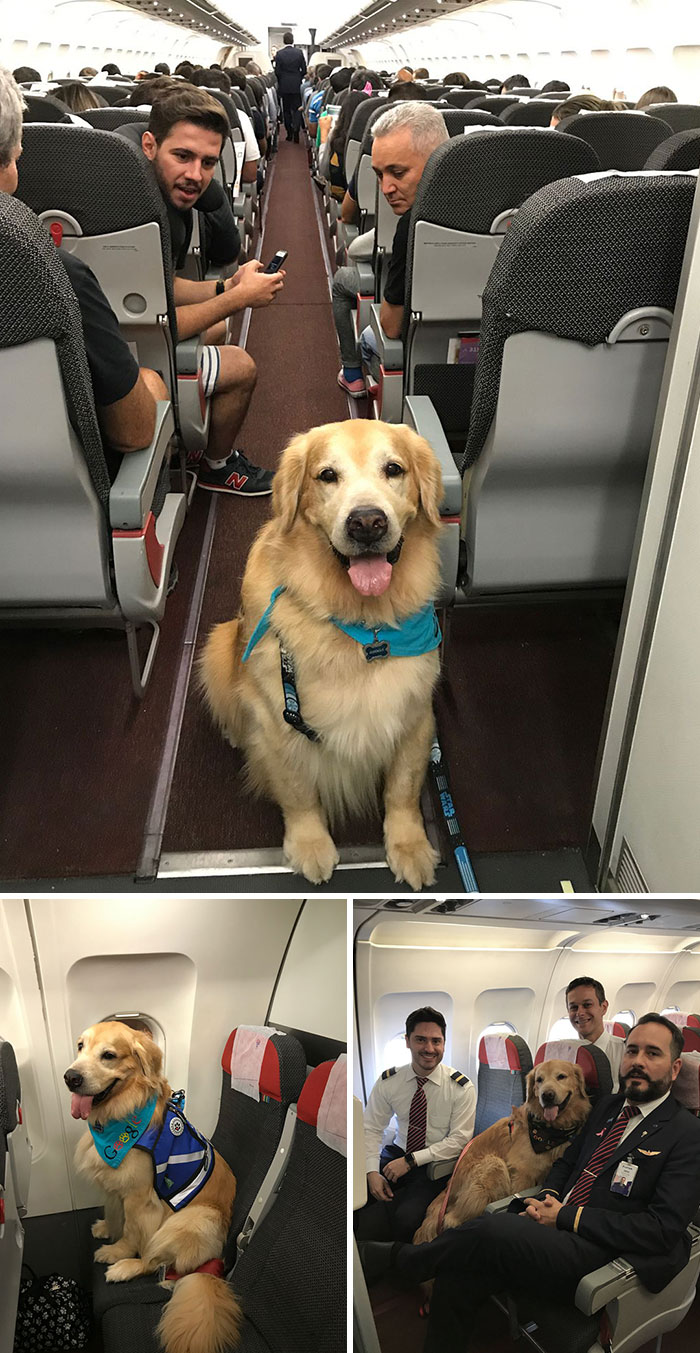 The Best Flight Attendant