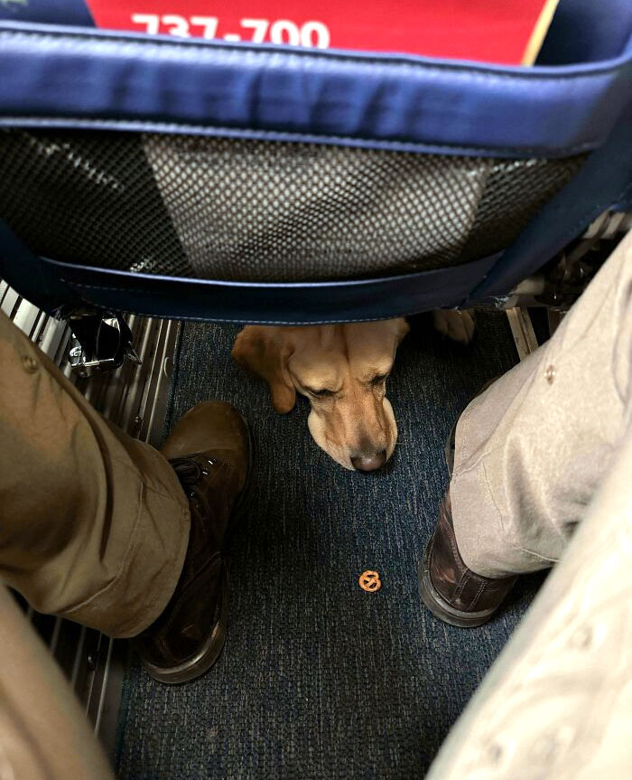 Got To Meet The Passenger In Front Of Me On The Plane