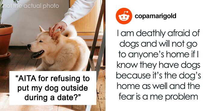 Man Told To Take His Dog Outside By Date, Shoves The Date Outside Instead