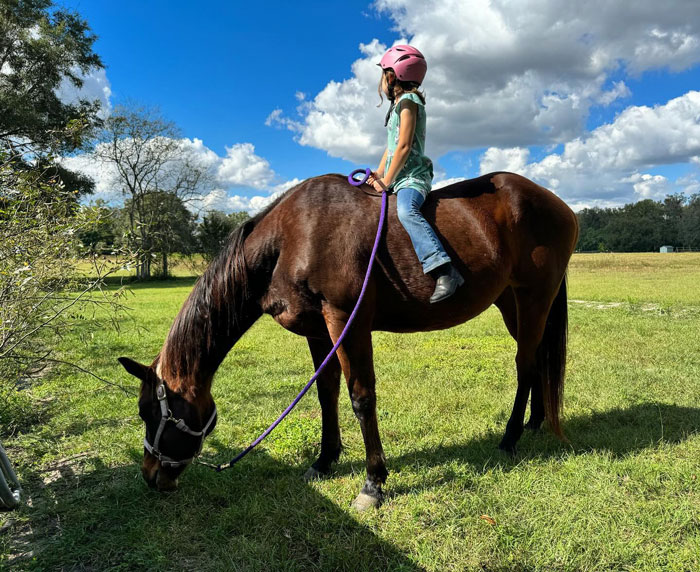 Mom Goes Along With Daughter Trying To Have Horse Class Pet, Girl Stops Due To Potential Shooters