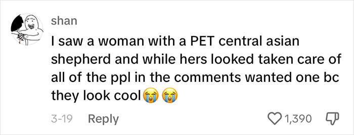 Woman Believes People Should Pick Dogs Accordingly To Their Lifestyle, Stirs Up A Debate