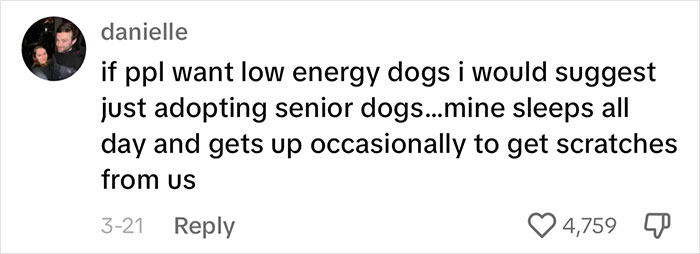 Woman Believes People Should Pick Dogs Accordingly To Their Lifestyle, Stirs Up A Debate