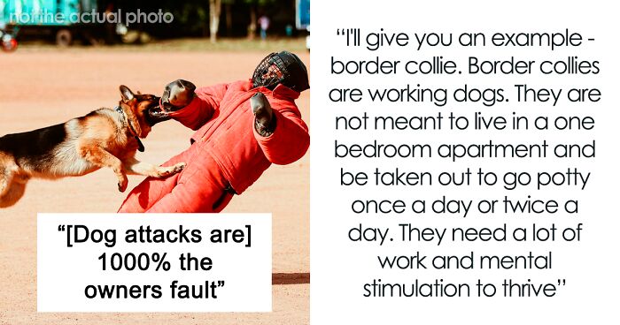 Woman Believes People Should Pick Dogs Accordingly To Their Lifestyle, Stirs Up A Debate