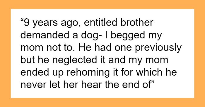 “Entitled Brother ‘Informed’ Me That He Would Be Taking My Dog For 3 Days Without My Permission”