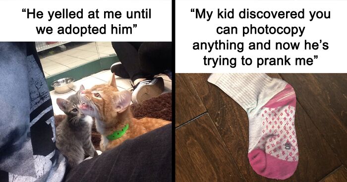 50 Randomly Wholesome Posts That May Be Just What You Needed For A Happiness Boost