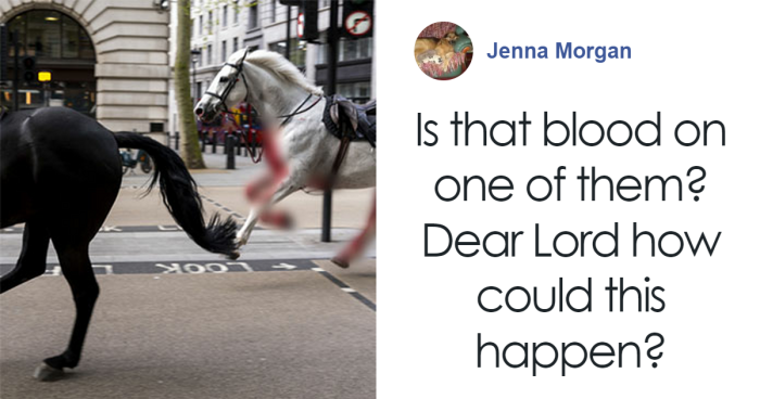 Four People Rushed To The Hospital After Blood-Covered Horses Cause Damage And Injuries In London