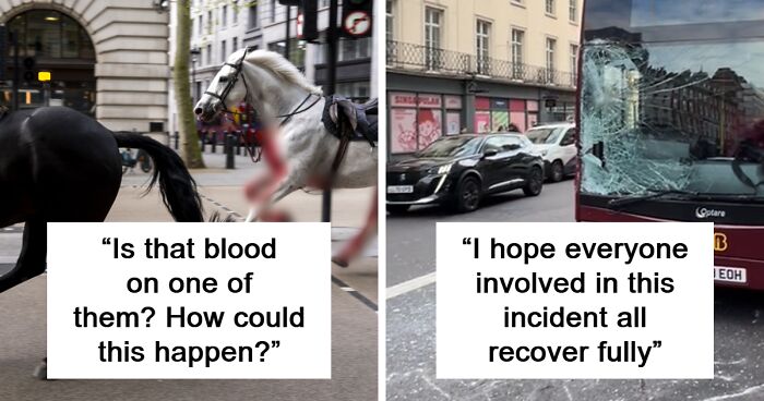 Wild Horses Run Amok Through London, Smashing Into Cars And Leaving “Blood All Over”