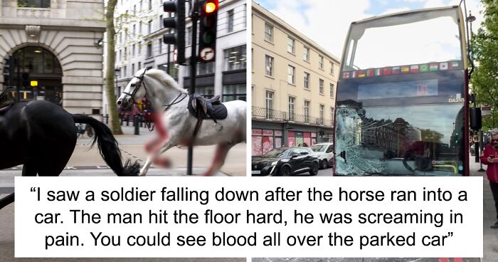 “He Was Screaming In Pain”: Four Injured After Blood-Covered Horses Run Wild Through London