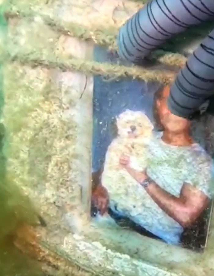 "He Wanted Me To Follow Him": Diver's Interaction With Curious Octopus Leads To Shrine Discovery "He Wanted Me To Follow Him": Diver's Interaction With Curious Octopus Leads To Shrine Discovery