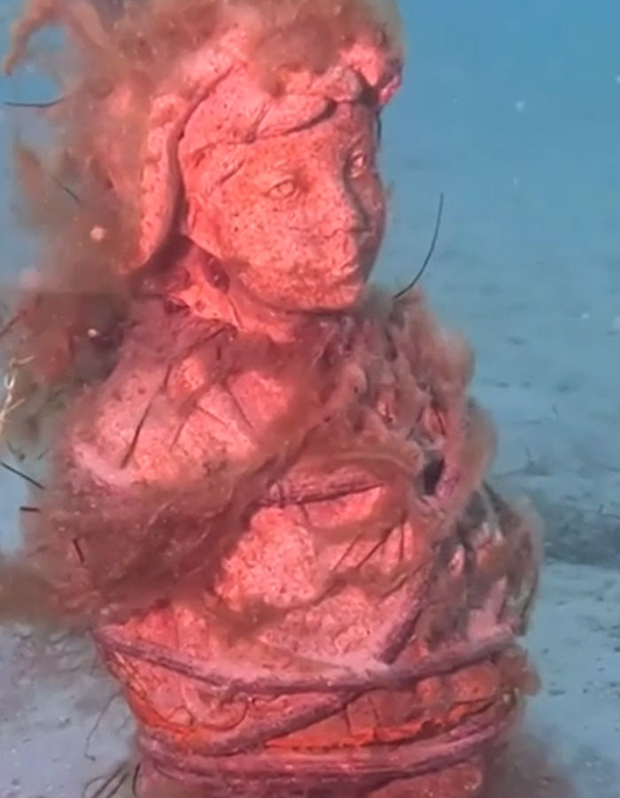 "He Wanted Me To Follow Him": Diver's Interaction With Curious Octopus Leads To Shrine Discovery