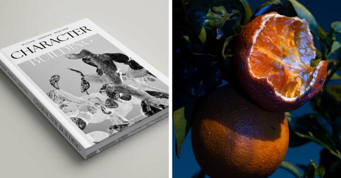 My Dream Of Publishing My Own Photography Book Is Almost A Reality!