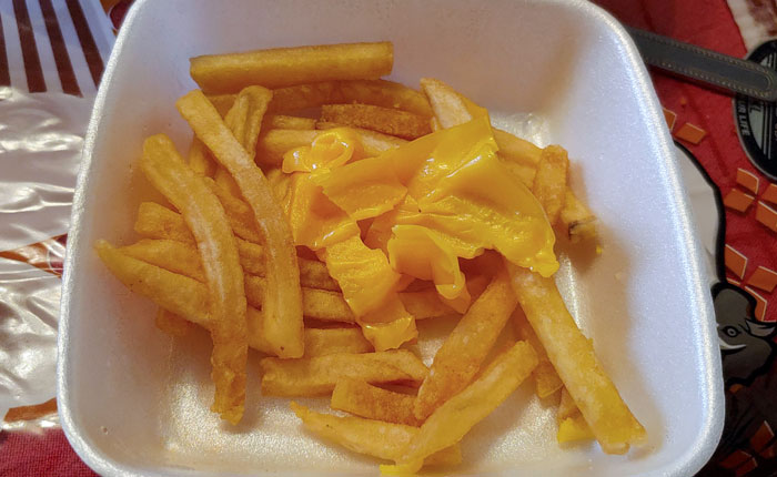 The Worst Cheese Fries On Planet Earth