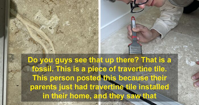 People Wanted A Travertine Floor For Their Home, Get Surprised By The Human Jawbone That Came With It