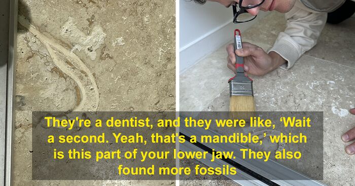 People Wanted A Travertine Floor For Their Home, Get Surprised By The Human Jawbone That Came With It