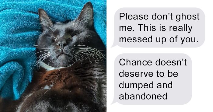 Guy Asks A Friend To Watch His Sick Cat For A While, Starts Ignoring Texts Asking Him To Take It Back