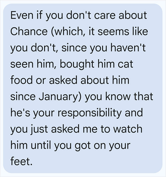 Guy Asks A Friend To Watch His Sick Cat For A While, Starts Ignoring Texts Asking Him To Take It Back