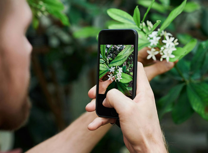 Tenant Gets Kicked Out As His Garden Is Used To Bump Up Rent, He Takes It With Him On His Way Out