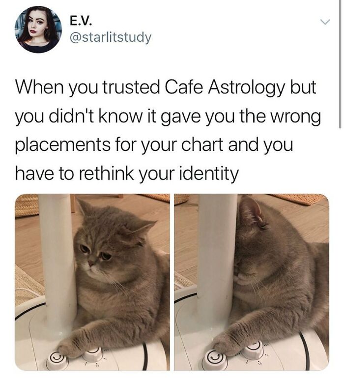 Astrology Memes