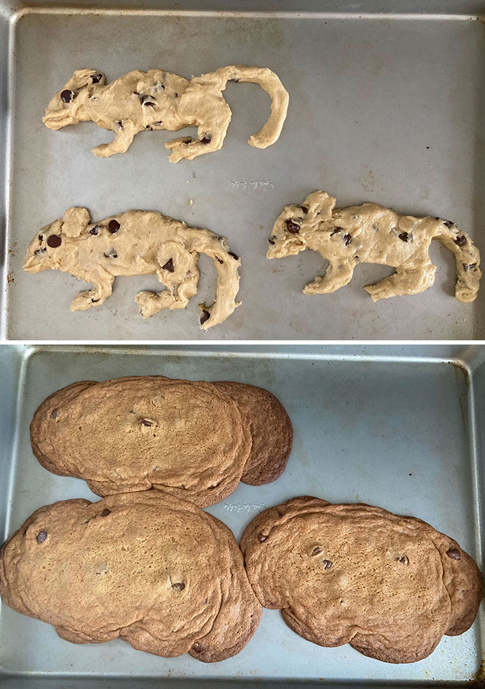 My Rat Cookies Definitely Didn't Turn Out Terribly Awry