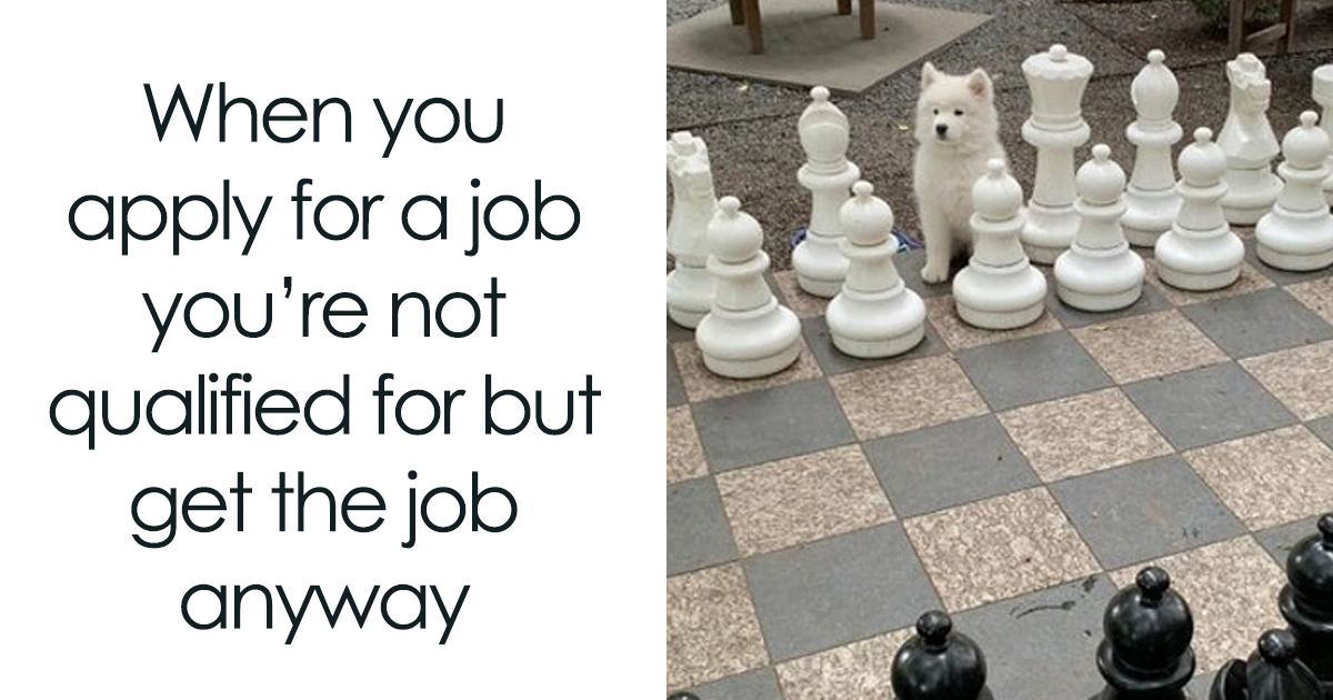 107 Cute And Funny Dog Memes That Might Boost Your Mood If You're Having A 'Ruff' Day - Vimarsana News