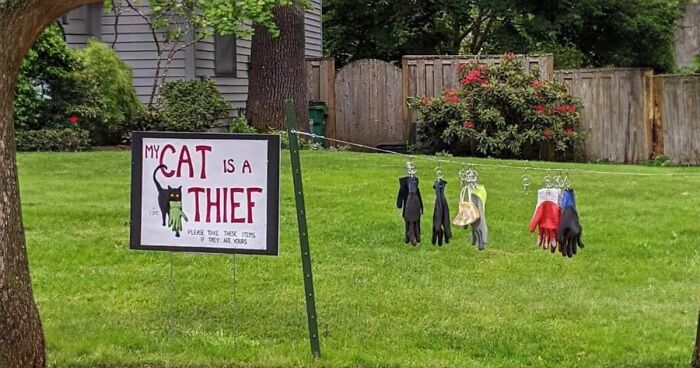 40 Chaotically Funny Signs Found In The Wild That Simply Had To Be Shared