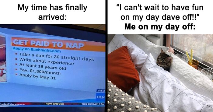 50 Times “Winning Introverts” Shared Painfully Relatable Memes