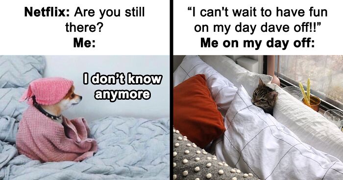 55 Times “Winning Introverts” Shared Painfully Relatable Memes