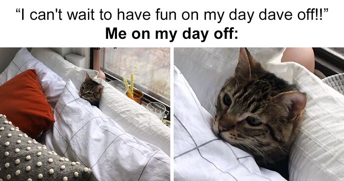 55 Memes From “Winning Introverts” That Might Make You Feel Seen