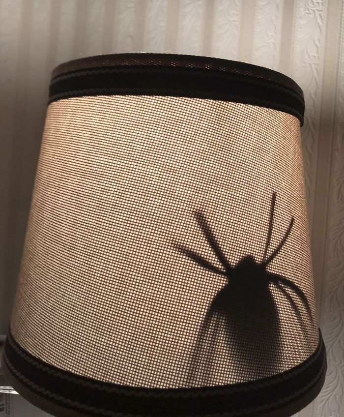 Completely Unprompted, My Son Cut A Paper Spider Out And Taped It Inside My Wife's Lampshade. I've Never Been More Proud