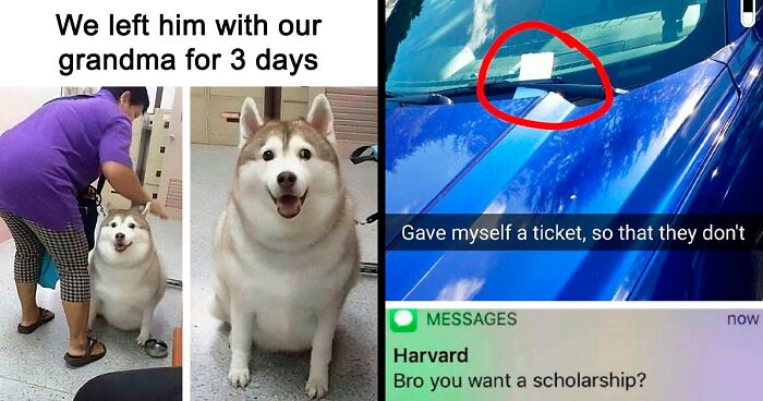 50 Random Memes To Entertain You While You Procrastinate